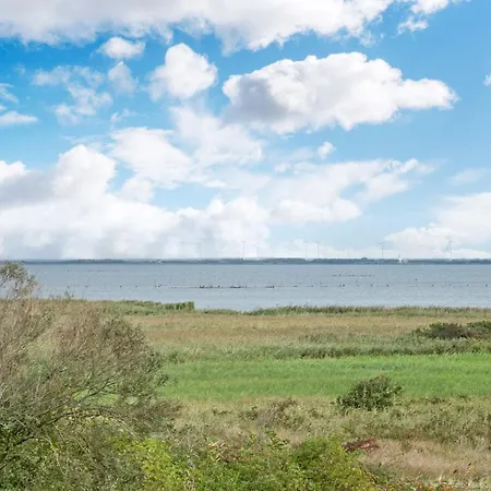 Matthias - 400m To The Fjord By Interhome * Hvide Sande
